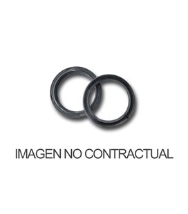 APRILIA ARRECIFE SPRINT 400 4T-H2O (05-08) RETENES VARIADOR POLINI