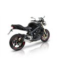 TRIUMPH STREET TRIPLE 08-12  PROTECTORES ANTICAIDAS BARRACUDA