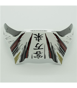 RECAMBIO SHOEI SPOILER POSTERIOR X-SPIRIT 3 MARQUEZ MOTEGI2 TC1