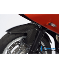 GUARDABARROS DELATERO CARBONO - BMW F 800 R (2009-2014) / GT (2012-NOW)