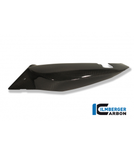 BAJO ASIENTO SIDE PANEL LEFT SIDE CARBON - BMW F 800 R (2009-2014) / S (2006-NOW) / ST (2006-NOW) / GT 