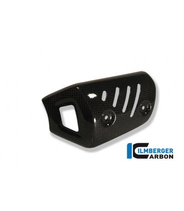 PROTECTOR DELANTERO SILENCIOSO CARBONO -  BMW F 800 R (2009-2014)