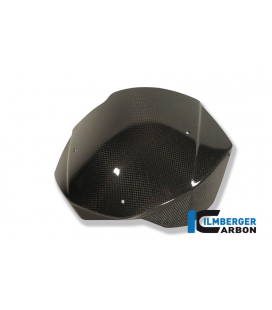 WINDSHIELD CARBON - BMW F 800 R (2009-2014)