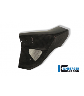 TAPA RADIADOR LEFT SIDE CARBON - BMW F 800 R (2009-2011)