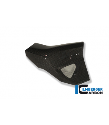 TAPA RADIADOR RIGHT SIDE CARBON - BMW F 800 R (2009-2011)