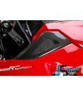 COVER ABOVE THE AIRTUBE (LEFT SIDE) - BMW F 800 R (AB 2015)