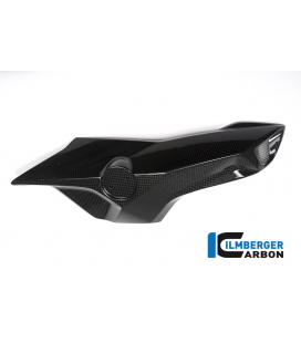 AIRTUBE COVER (RIGHT SIDE) - BMW F 800 R (AB 2015)