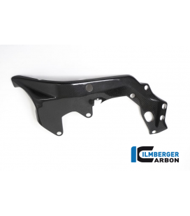 PROTECTOR CHASIS IZQUIERDO BMW HP4 RACE
