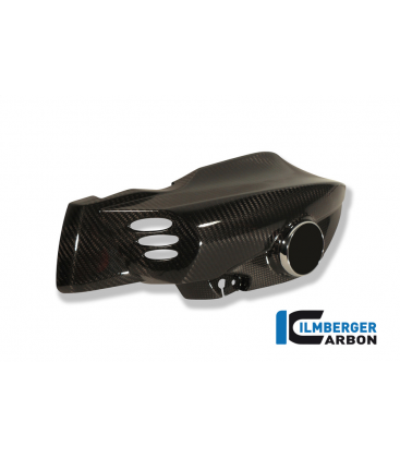 AIRTUBE LEFT CARBON - BMW K 1200 R (2005-2008)