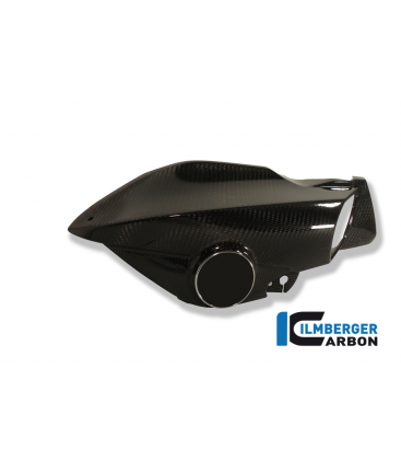 AIRTUBE RIGHT CARBON - BMW K 1200 R (2005-2008)