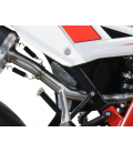 PROTECTOR CHASIS DERECHO+IZQUIERDO CARBON - BMW S 1000 RR RACING