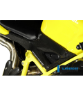 AIRBOX COVERS PAIR CARBON - DUCATI 848 /1098 / 1198 / S /  R
