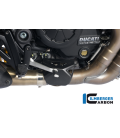 PROTECTOR ESCAPE ON THE EXHAUST VALVE CARBON - DUCATI DIAVEL