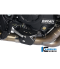 PROTECTOR ESCAPE ON THE EXHAUST VALVE CARBON - DUCATI DIAVEL