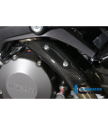 PROTECTOR ESCAPE MANIFOLD CARBON - DUCATI 696 / 1100 MONSTER