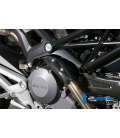 PROTECTOR ESCAPE MANIFOLD CARBON - DUCATI 696 / 1100 MONSTER