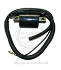 BETAMOTOR RR MOTARD STD AM6 K/S E2 (RUEDA DE RADIOS) 50 (2009-2009) BOBINA ALTA TENSION