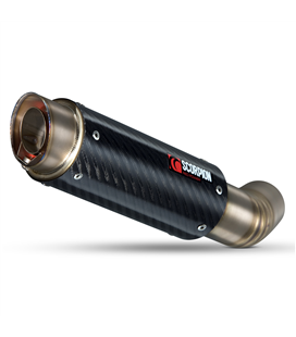 BMW HP4 (12-14) RP1GP CARBONO/TITANIO