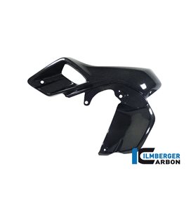 AIRTUBE LEFT (UPPER WATERCOOLER COVER) CARBON - BMW R 1200 GS (LC FROM 2013)