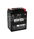 APRILIA ETX 650  BATERIA BS (SLA/GEL)