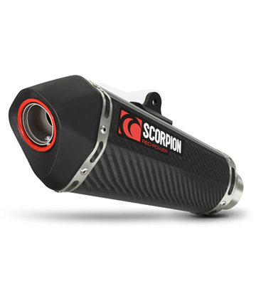 KAWASAKI Z800 (13-) SERKET CONICO CARBONO