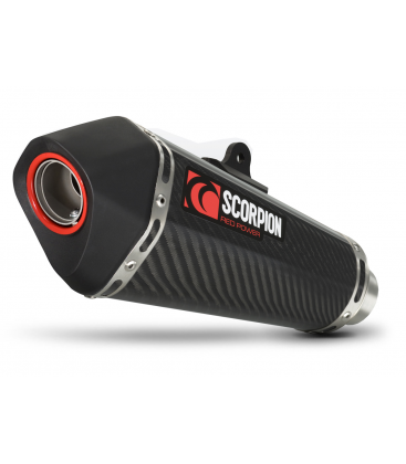 BMW S1000R (14-) SERKET CARBONO