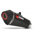 BMW S1000R (14-) SERKET CARBONO