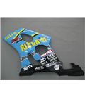 CARENADO SUZUKI GSXR 1000 03-04 RITZLA