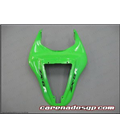 Carenado Kawasaki ZX6R 2007 2008 Monster Verde