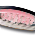 HONDA CB 600 F HORNET 1998-2002 ERMAX LED