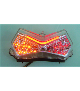 KAWASAKI Z 750 2003-2006 ERMAX LED