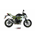 KAWASAKI Z 125 2019 - DELTA RACE INOX COPA CARBONO MIVV