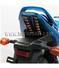 SUZUKI SV 650 2003-3000 ERMAX LED