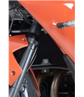 BMW F 700 GS 2013 - 2018 PROTECTOR RADIADOR AGUA