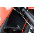 BMW F 700 GS 2013 - 2018 PROTECTOR RADIADOR AGUA