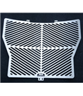 BMW R 1250 GS 2019 -  PROTECTOR RADIADOR AGUA