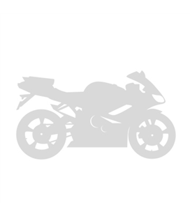 TRIUMPH DAYTONA 600 2003 - 2005 GUARDABARROS TRASERO