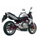 KAWASAKI ER-6N / F 2005 - 2011 X-CONE INOX/ST. STEEL MIVV