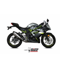 KAWASAKI NINJA 125 2019 - DELTA RACE INOX COPA CARBONO MIVV