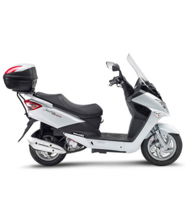 SYM JOYRIDE EVO 125-200 09-16 CUPULA GIVI