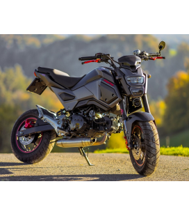 HONDA MSX - GROM 125 2013/17 GPR DEEPTONE INOX