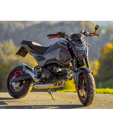 HONDA MSX - GROM 125 2013/17 GPR DEEPTONE INOX