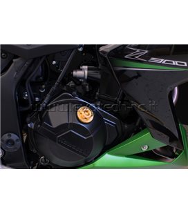 TAPON CARTER APRILIA EVOTECH