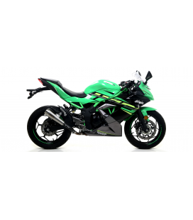 KAWASAKI NINJA 125 2019 - 2020 SILENCIOSO NICHROM PRO-RACE