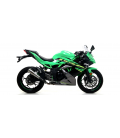 KAWASAKI NINJA 125 2019 - 2020 SILENCIOSO NICHROM PRO-RACE