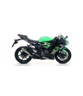 KAWASAKI ZX-6R 636 2019 - 2020 SILENCIOSO RACE-TECH DE TITANIO FONDO EN CARBONO