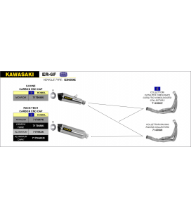 KAWASAKI ER-6F 2012 - 2016 SILENCIOSO RACE-TECH DE TITANIO FONDO EN CARBONO