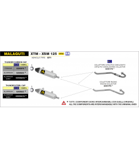 MALAGUTI XTM / XSM 125 4T 2019 - 2020 SILENCIOSO THUNDER DE TITANIO FONDO EN CARBONO