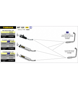 YAMAHA MT 125 2020 -  SILENCIOSO STREET THUNDER DE ALUMINIO