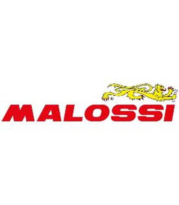 ACEITE MALOSSI 7.1 2T 